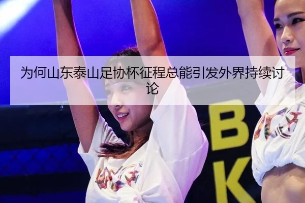 wei-he-shan-dong-tai-shan-zu-xie-bei-zheng-cheng-zong-neng-yin-fa-wai-jie-chi-xu-tao-lun-2-997.jpg