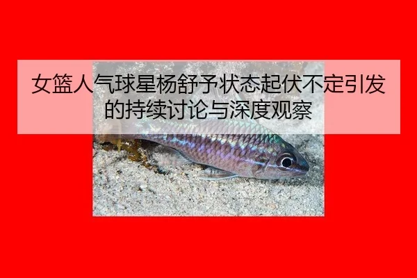 女篮人气球星杨舒予状态起伏不定引发的持续讨论与深度观察